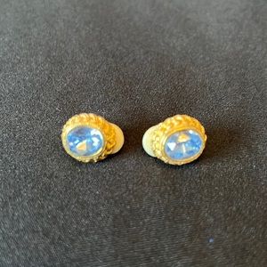 Clip  Blue Oval Jewel Earrings